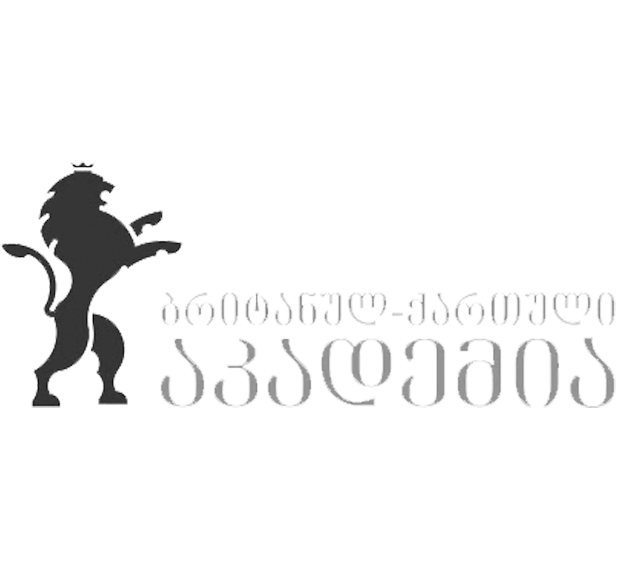 ელექტრონული ჟურნალი 14