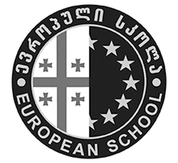 ელექტრონული ჟურნალი 13